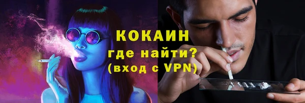 шишки Гусев