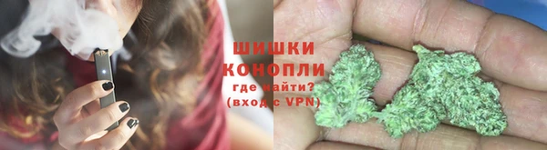 прущие грибы Гусь-Хрустальный