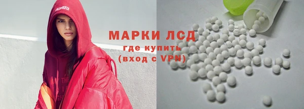шишки Гусев