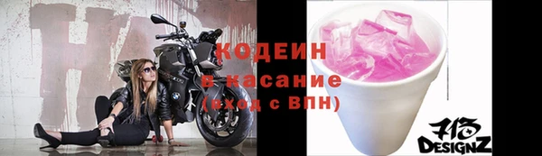 шишки Гусев