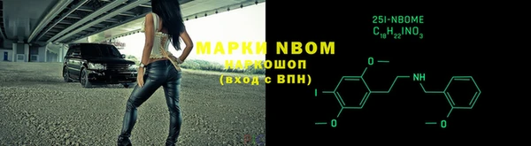 прущие грибы Гусь-Хрустальный