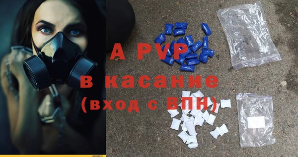 соль ск Гусиноозёрск