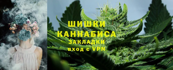 шишки Гусев