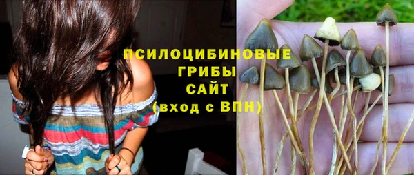 шишки Гусев