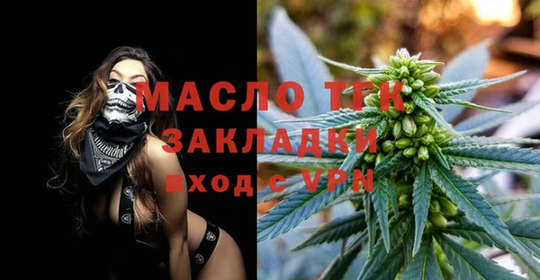 шишки Гусев
