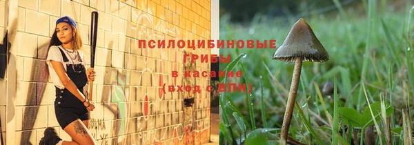 соль ск Гусиноозёрск