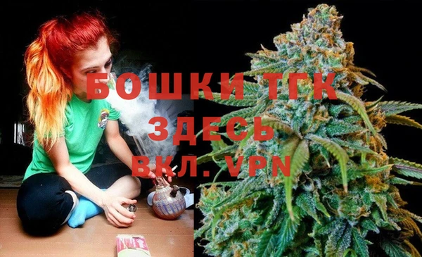 прущие грибы Гусь-Хрустальный