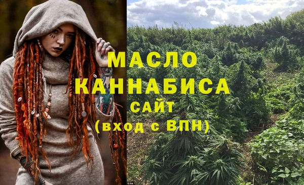 шишки Гусев