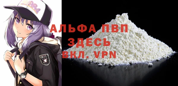шишки Гусев